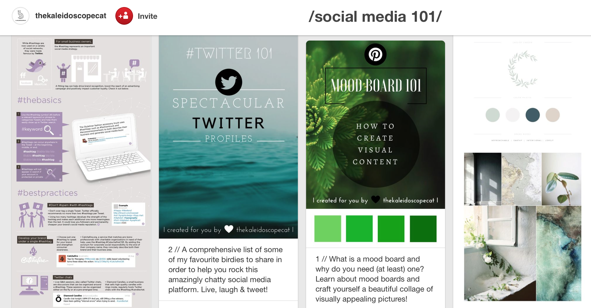 Social Media 101 - a beginner's guide to social media marketing with Facebook, Instagram, Twitter and Pinterest. - student project