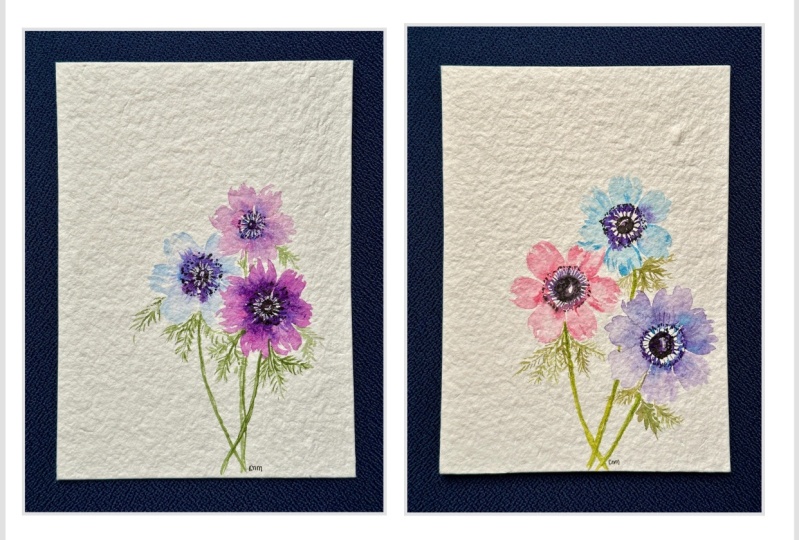 Anemones