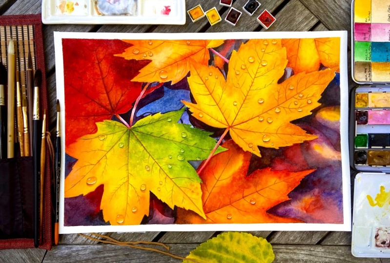 Maple leaves