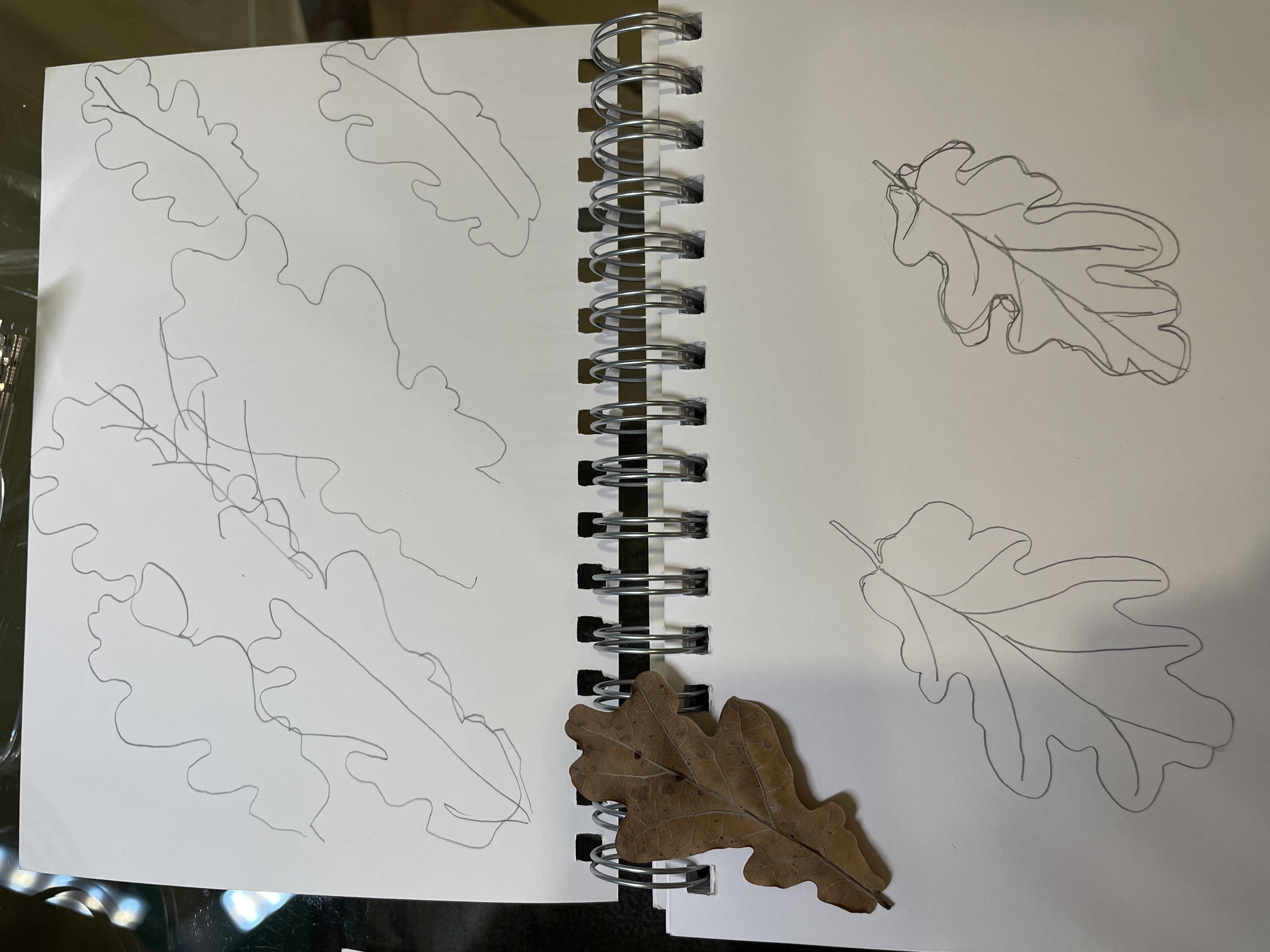 more-projects-from-class-img