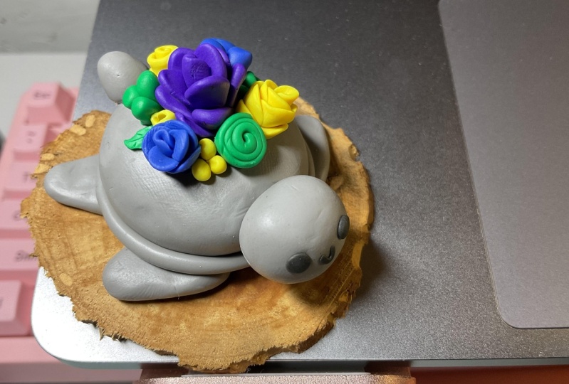 Polymer turtle