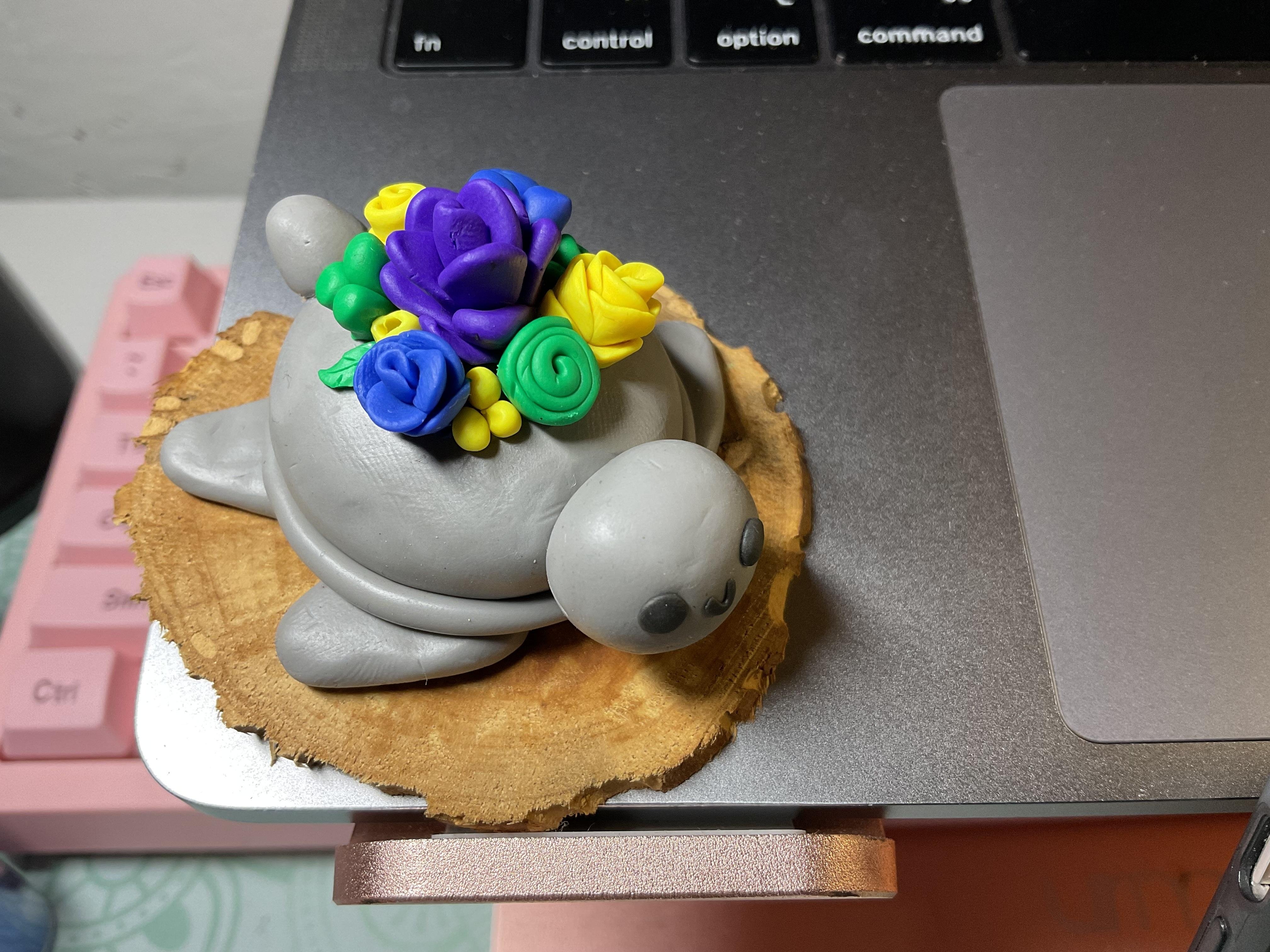 Polymer turtle - student project