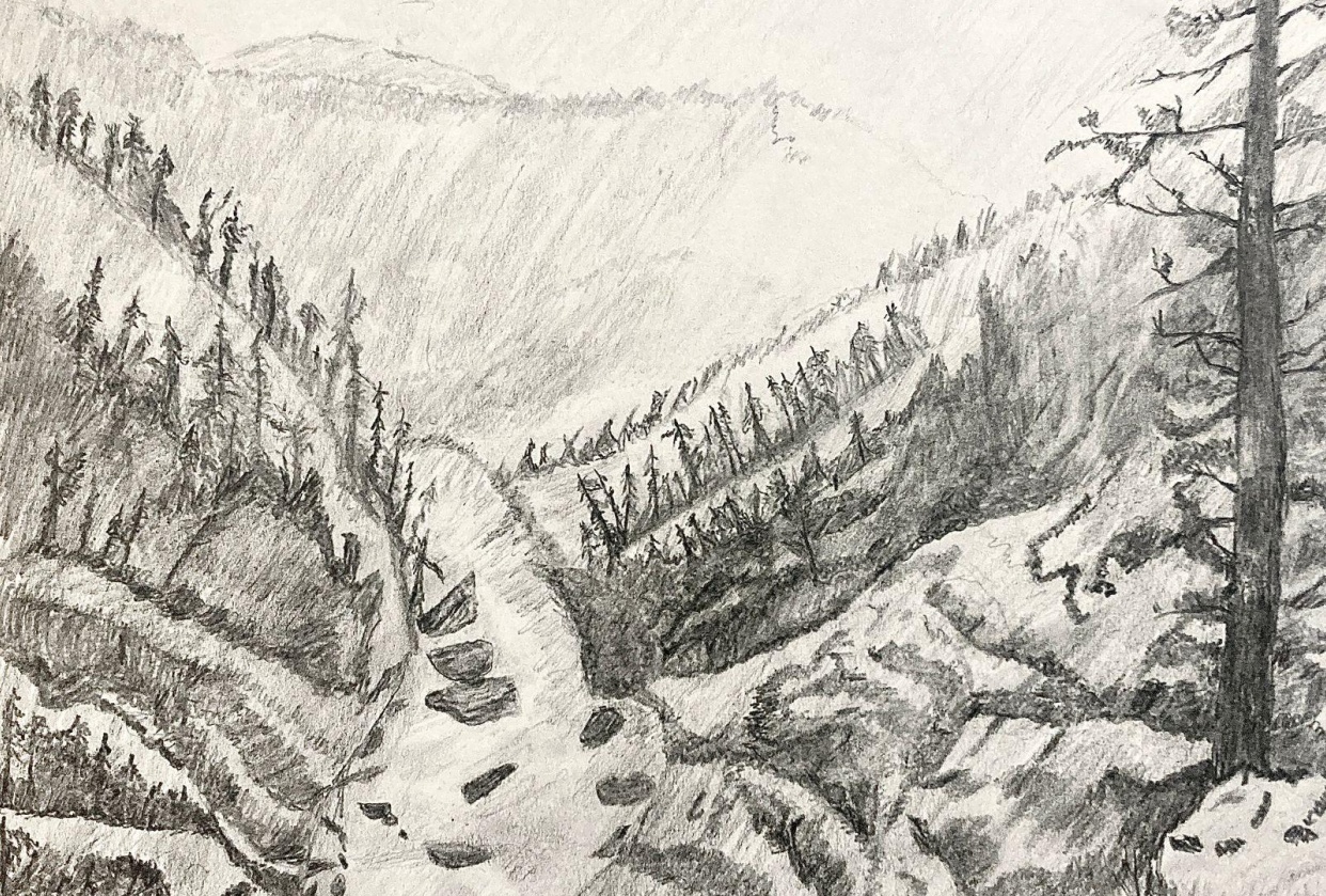 Landscape scaling - student project
