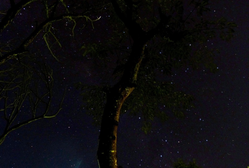 Fotografia noturna do céu.