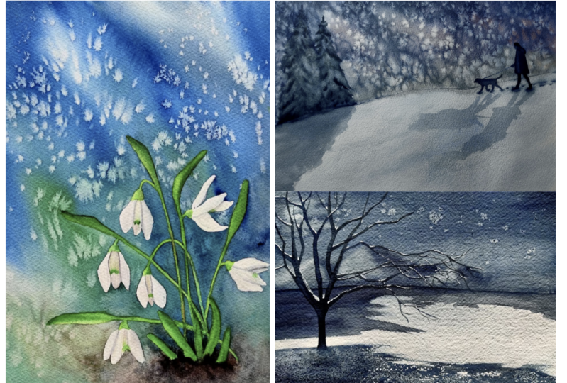Salt effects for Winter Landscapes