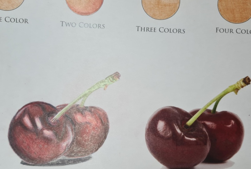 Drawing Cherries, How to Layer with Polychromos