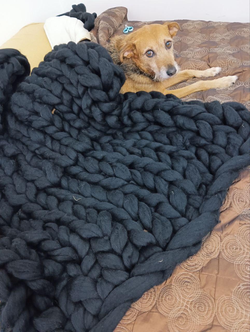 My blanket - student project