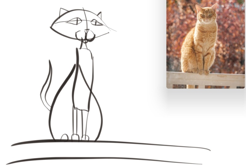 Altering Shapes Can Transform the Reference