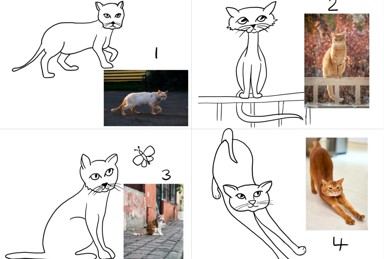 Cats! - student project