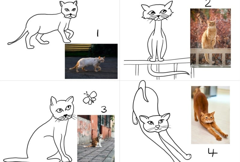 Cats!