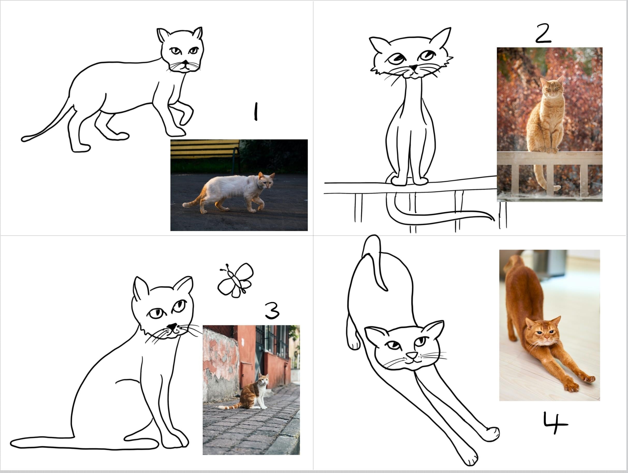 Cats! - student project