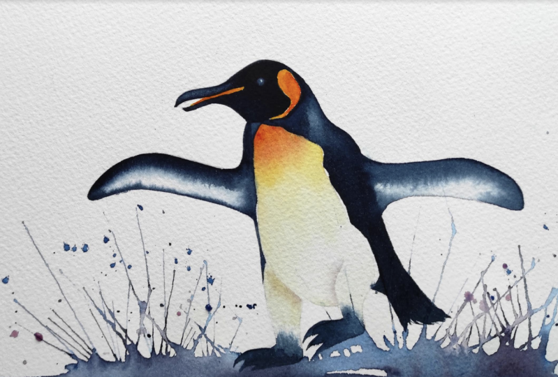 Splashing Penguin