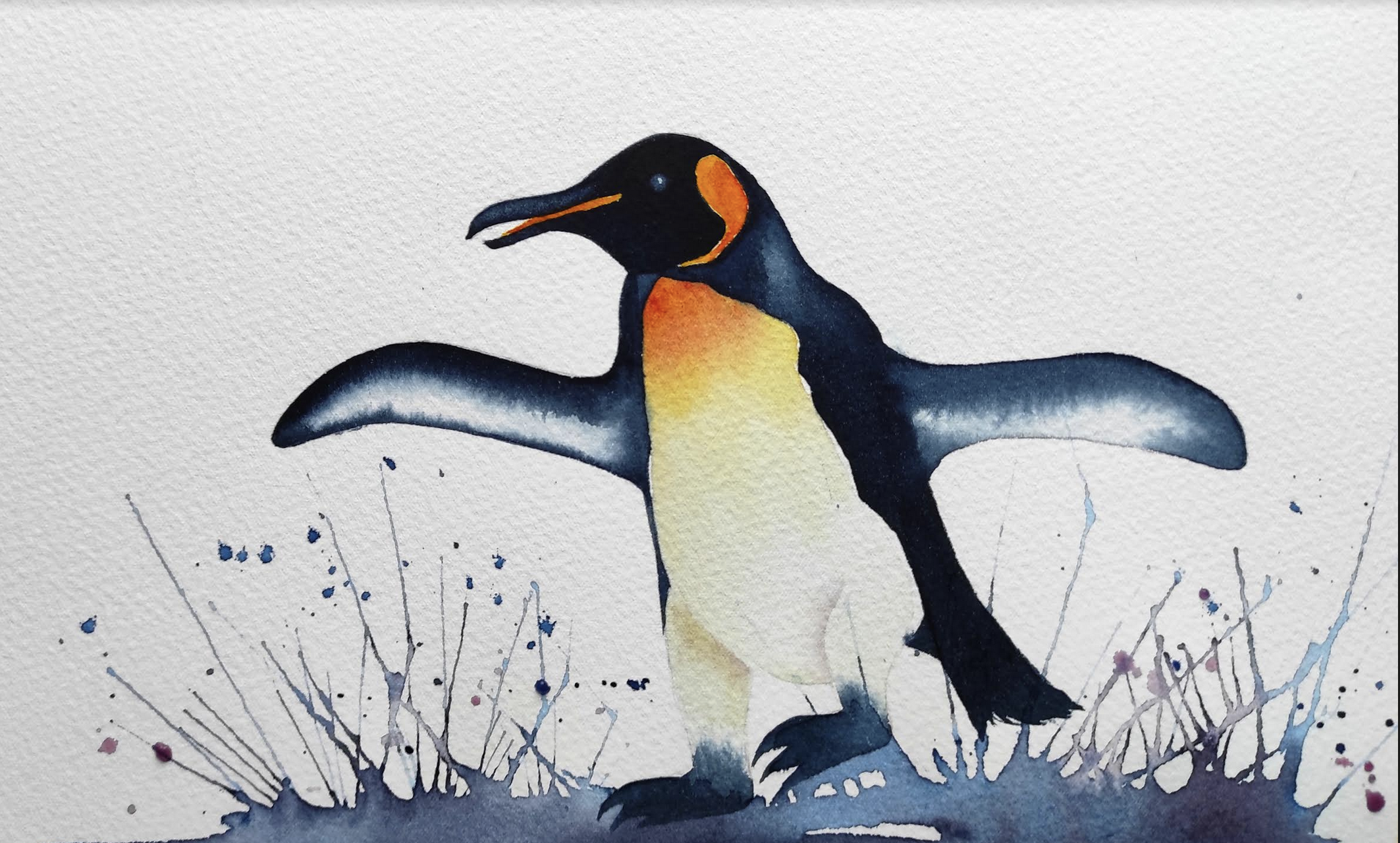 Splashing Penguin - student project