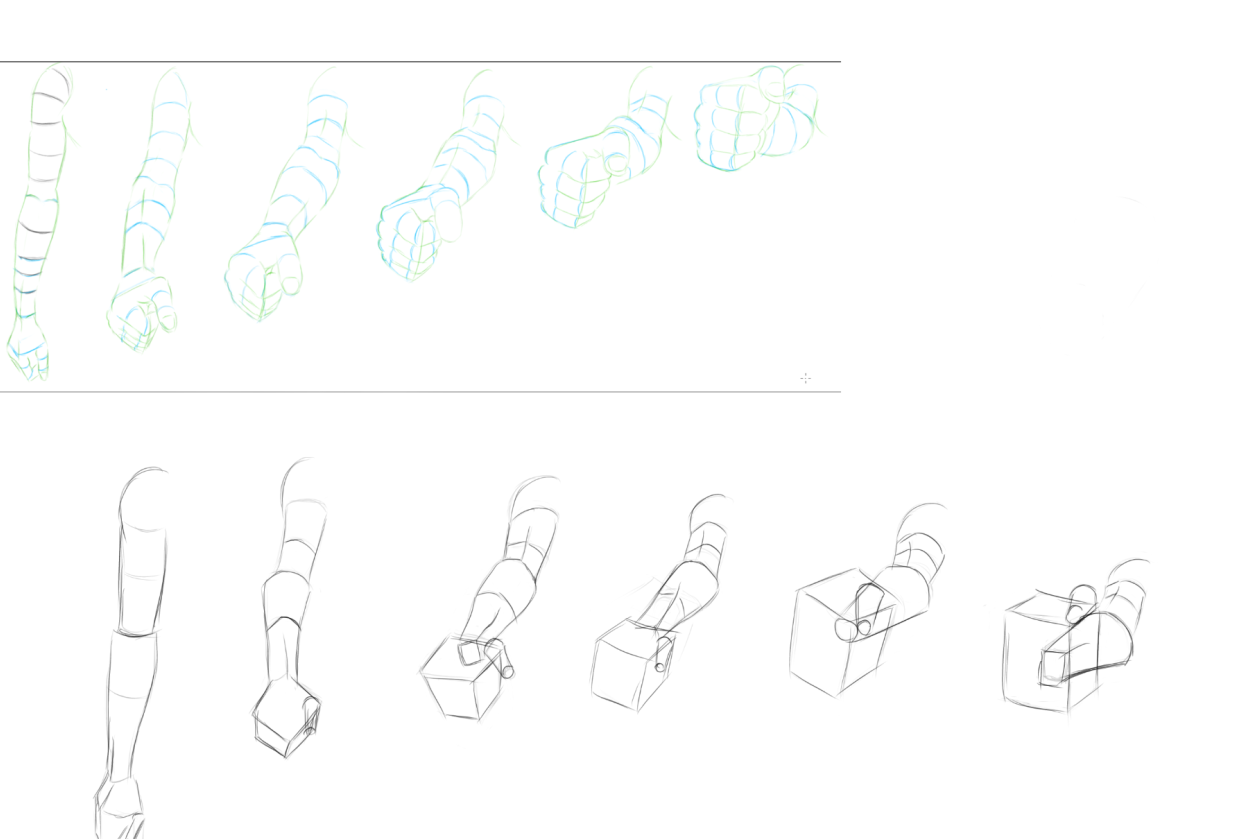 Foreshortening and Contour Study - student project