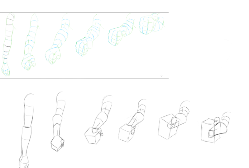 Foreshortening and Contour Study