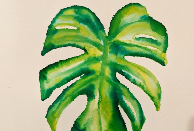 Monstera Leaf Project