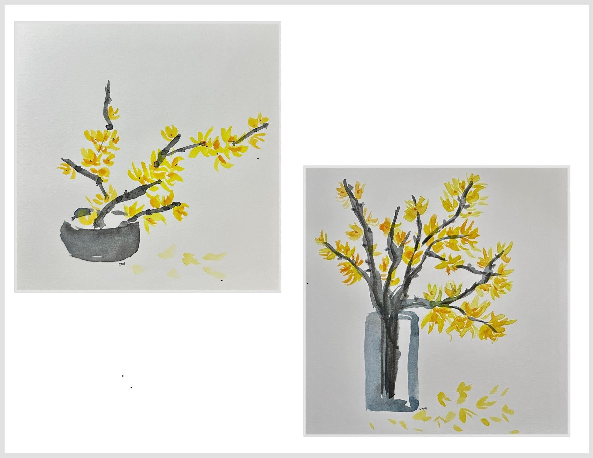 Forsythia - student project