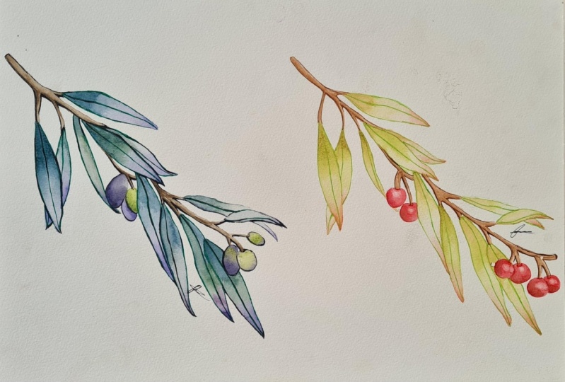 Proyecto - Temperatura del color