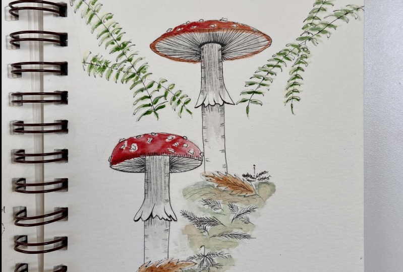 Composition with Amanita mushrooms