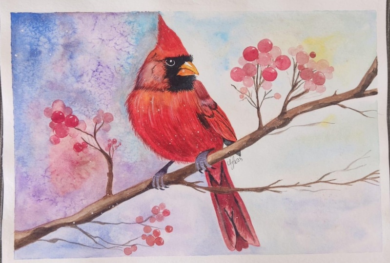 Cardenal del norte