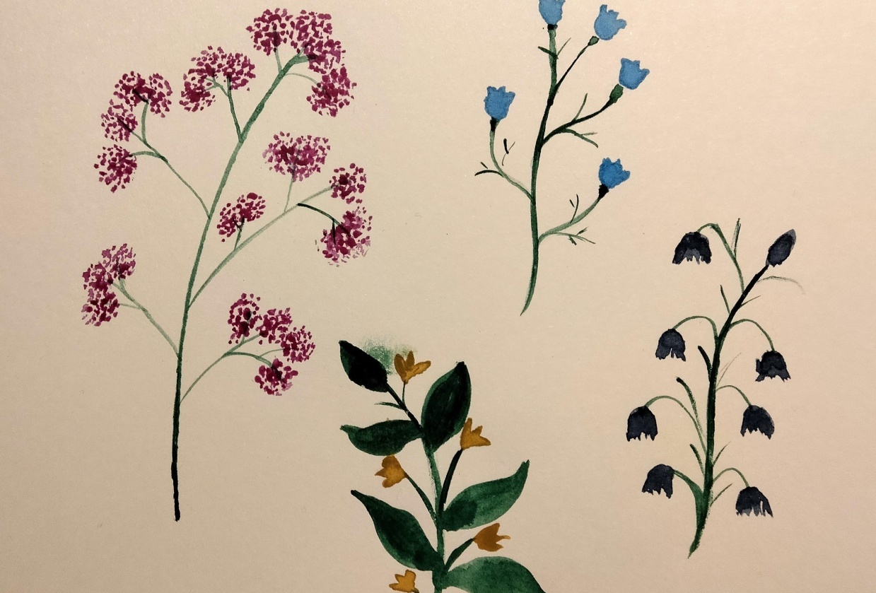 Florals - student project