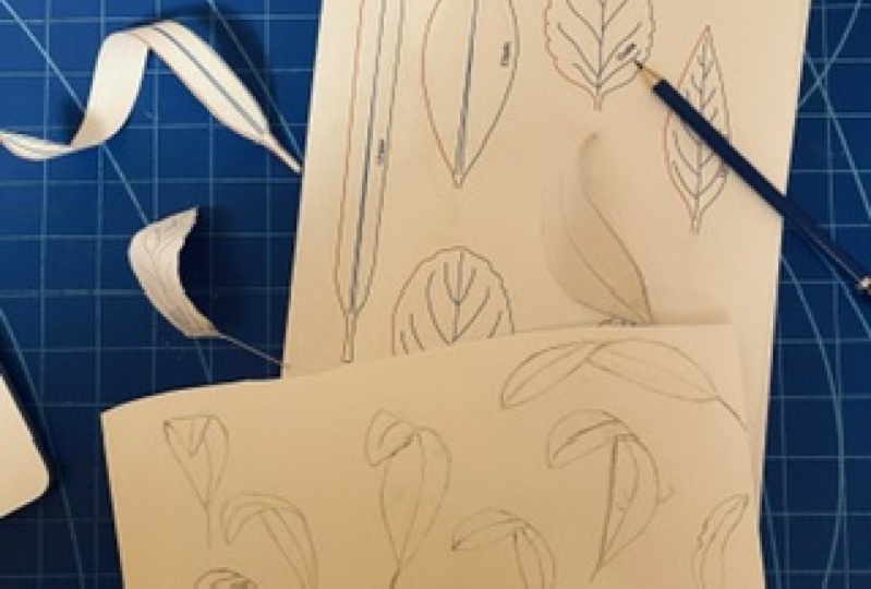 Practice leaves