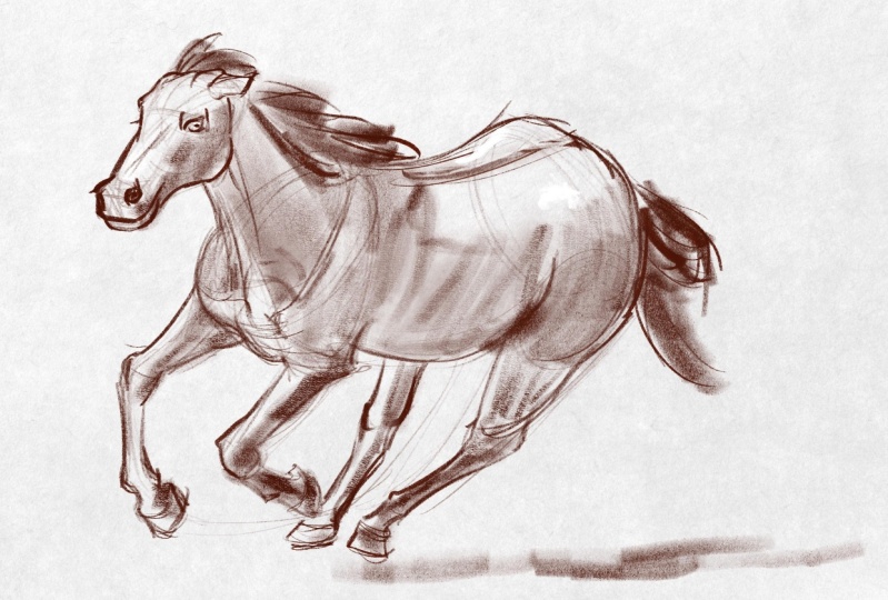 Horse Sketch