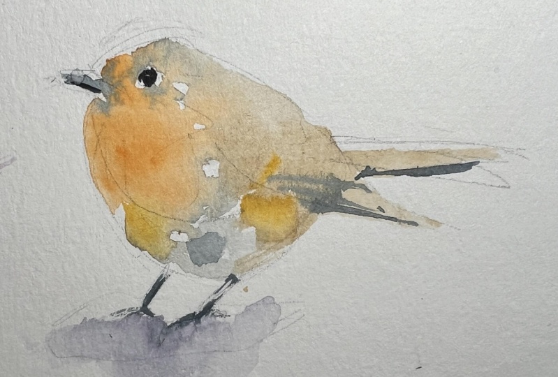 Watercolor bird