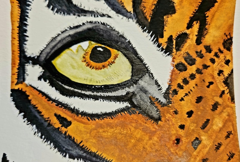 Deer, tiger, parrot