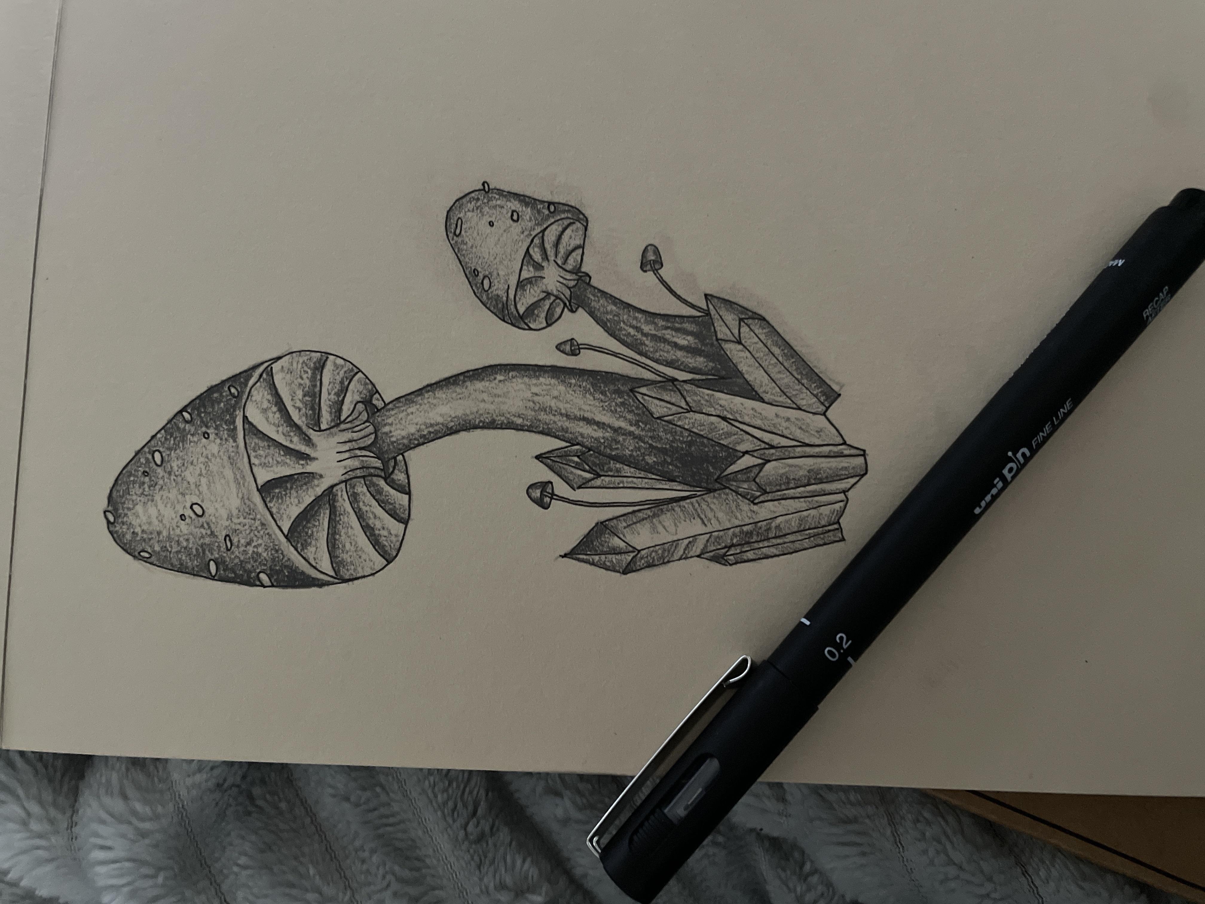 more-projects-from-class-img