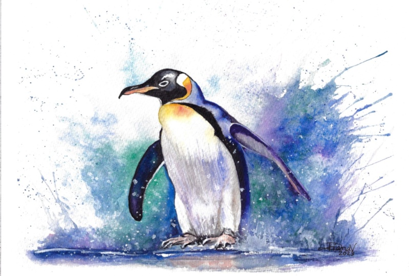 Puddle Playing Penquin