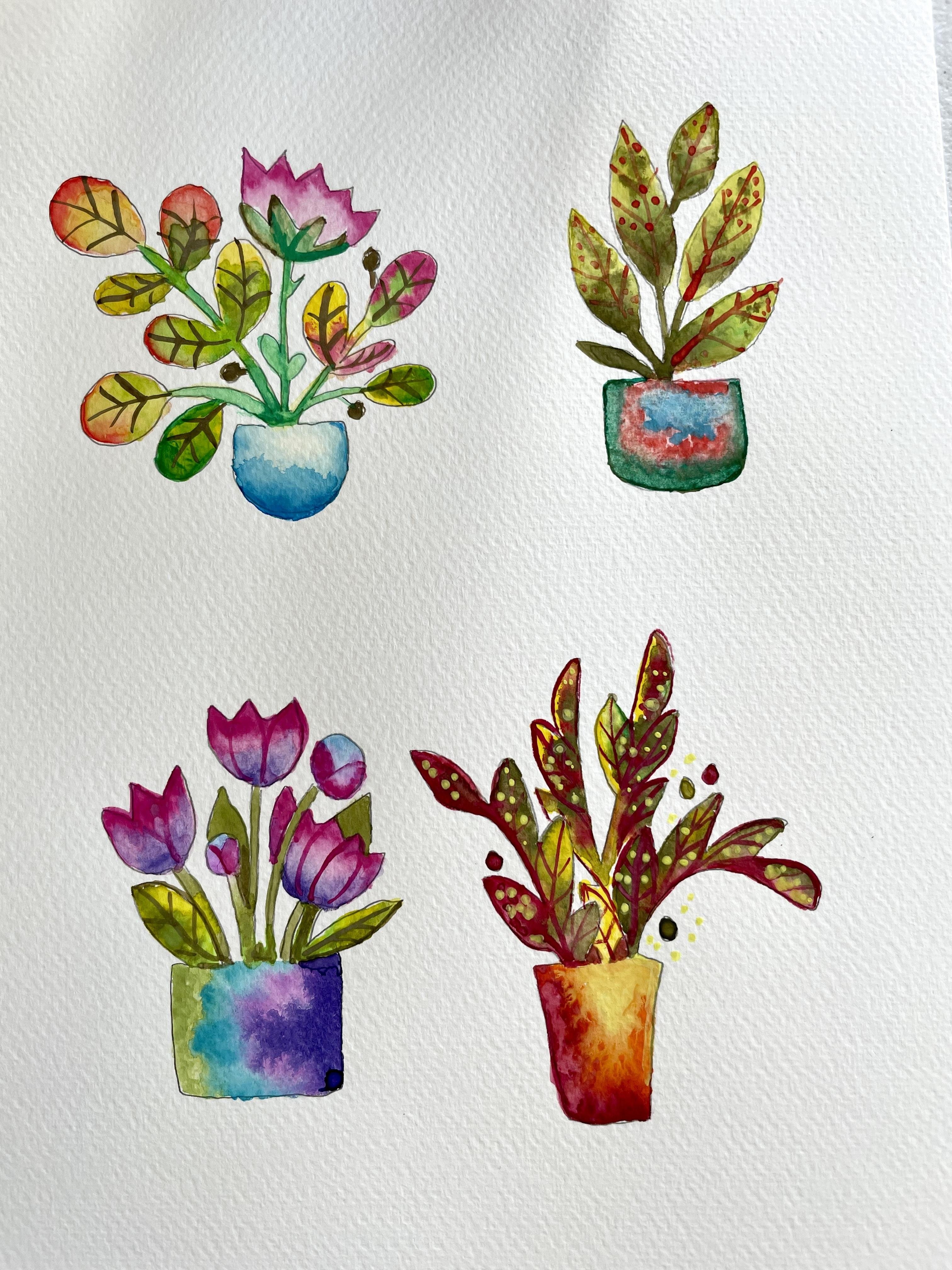 more-projects-from-class-img