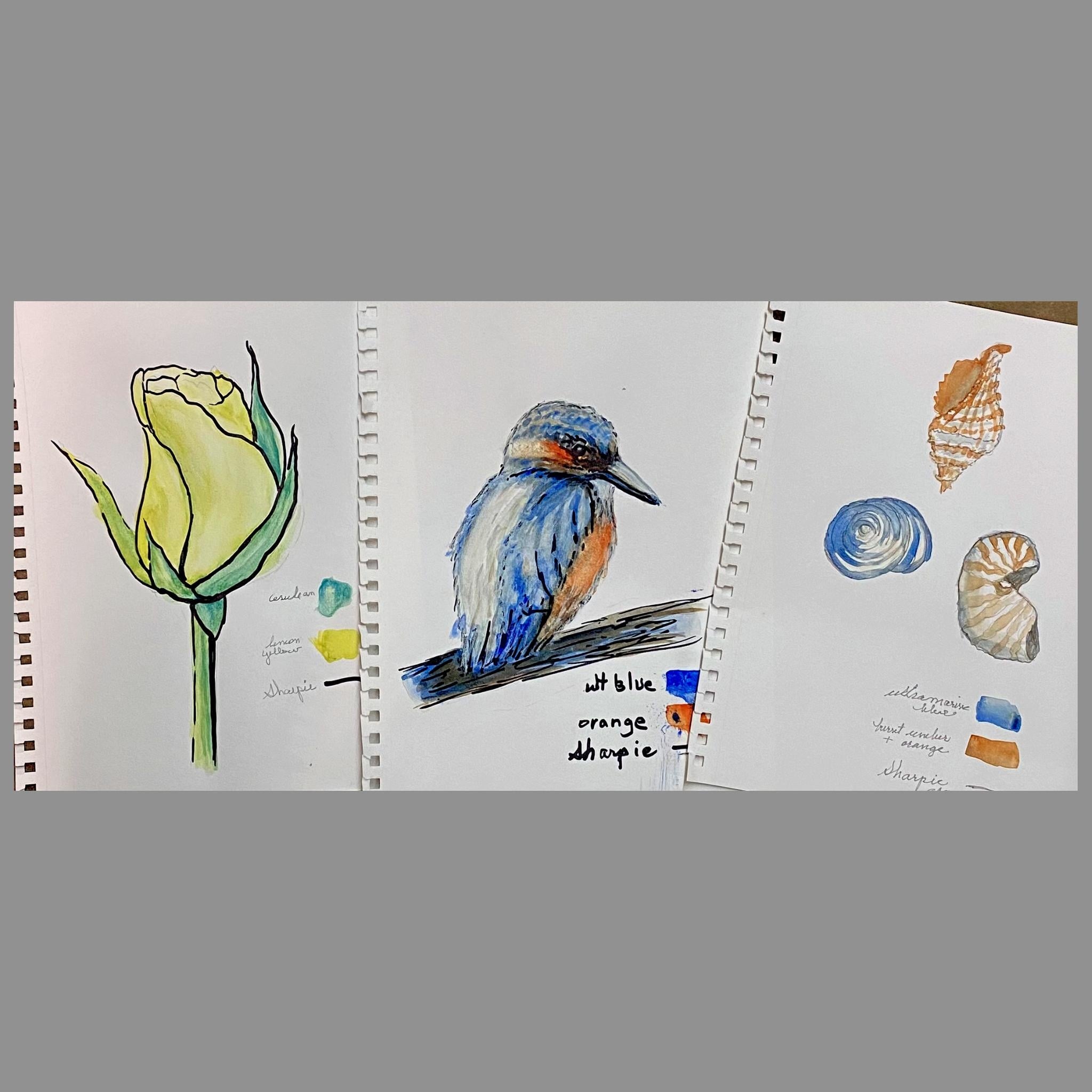 more-projects-from-class-img