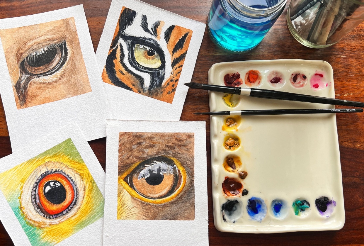 Animal & Bird Eyes - student project