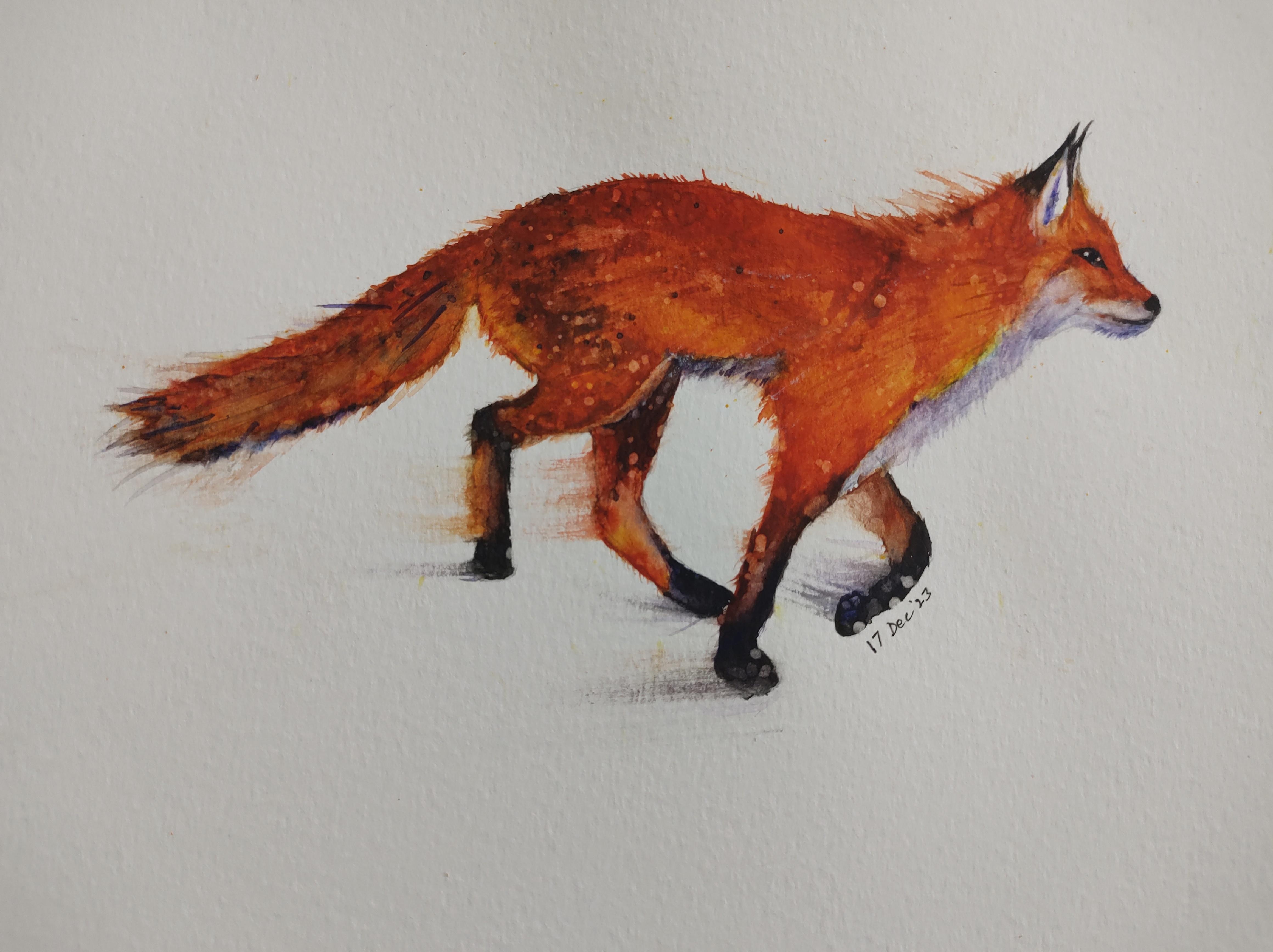 Watercolor Fox - student project