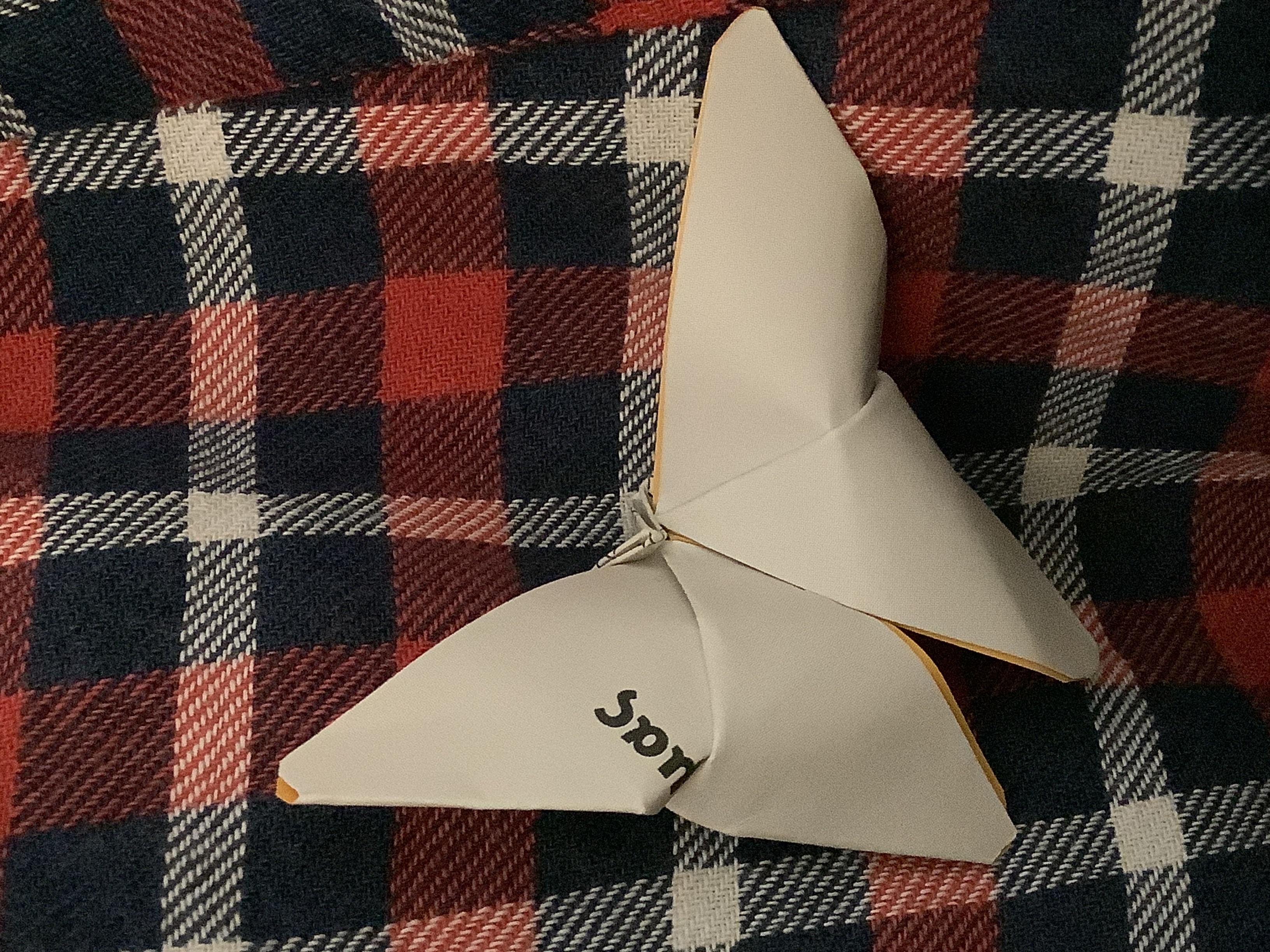 more-projects-from-class-img