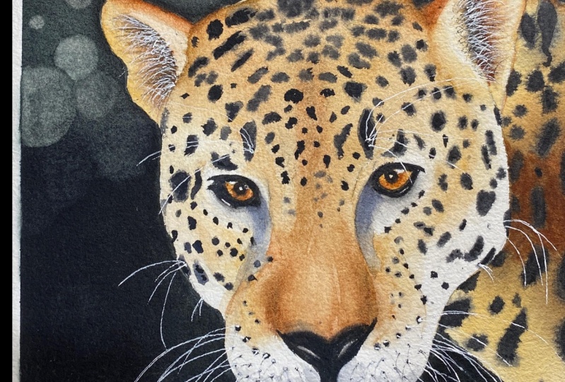 My Jaguar