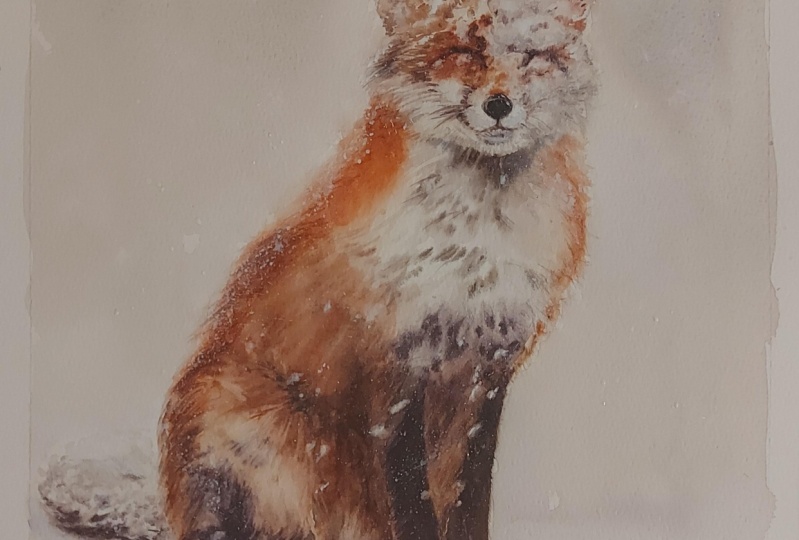 Snowy Red Fox In Watercolors: Step-By-Step Guide For Painting Fluffy Fur