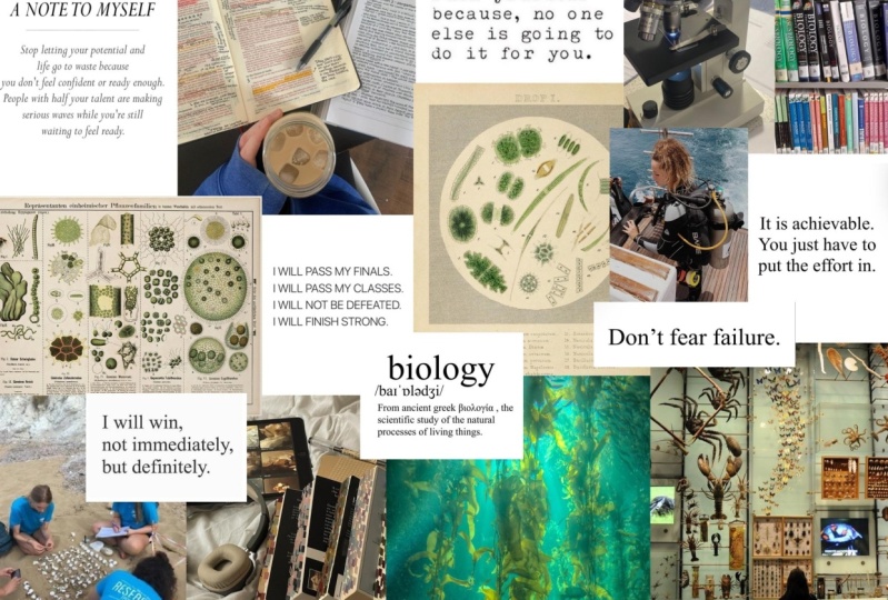 My visionboard