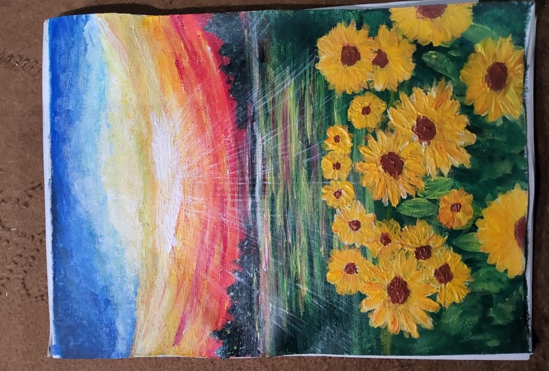 Sun flower field and sunset sky