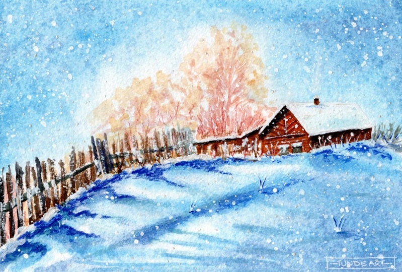 Winter in the Garden