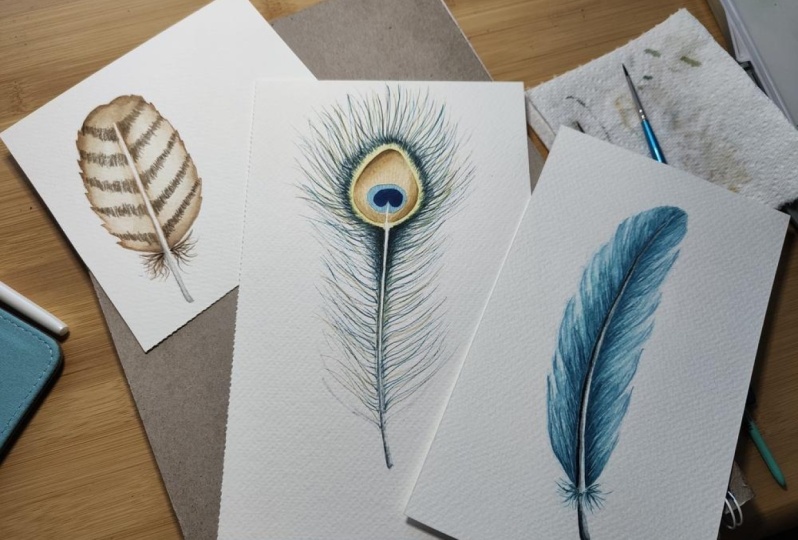 Three feathers
