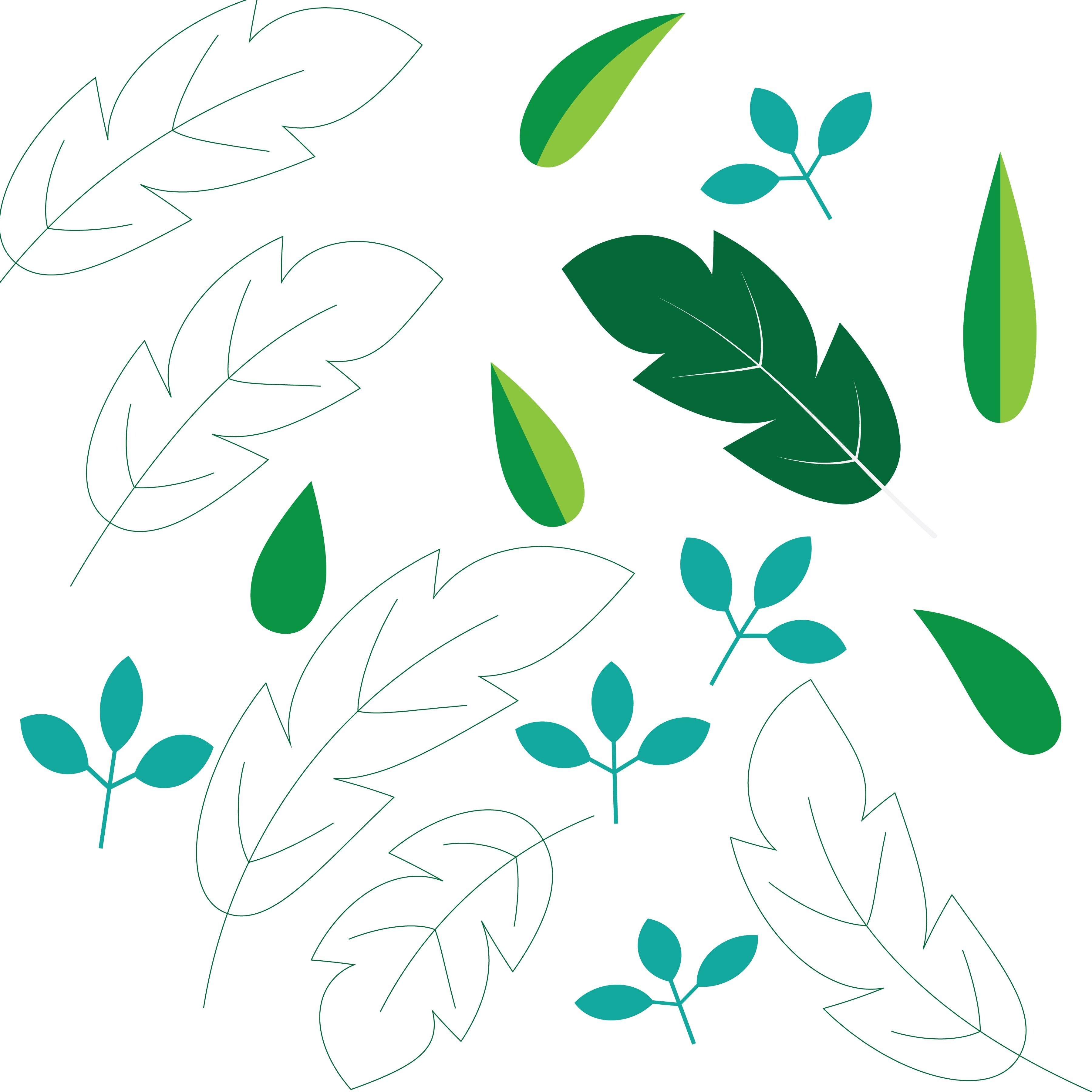 more-projects-from-class-img