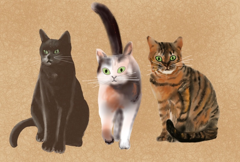 Cats '
