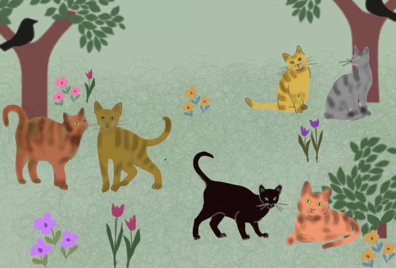 Cats '