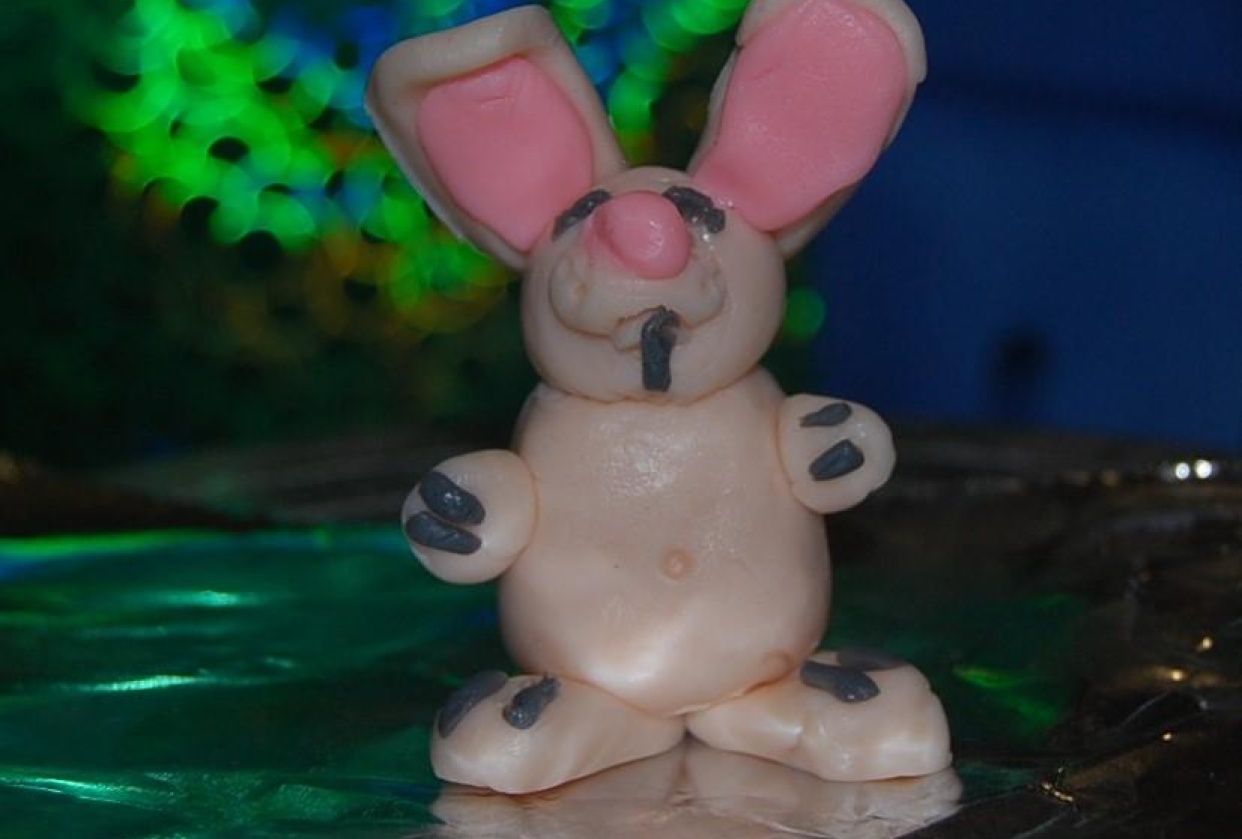 Bunny - student project