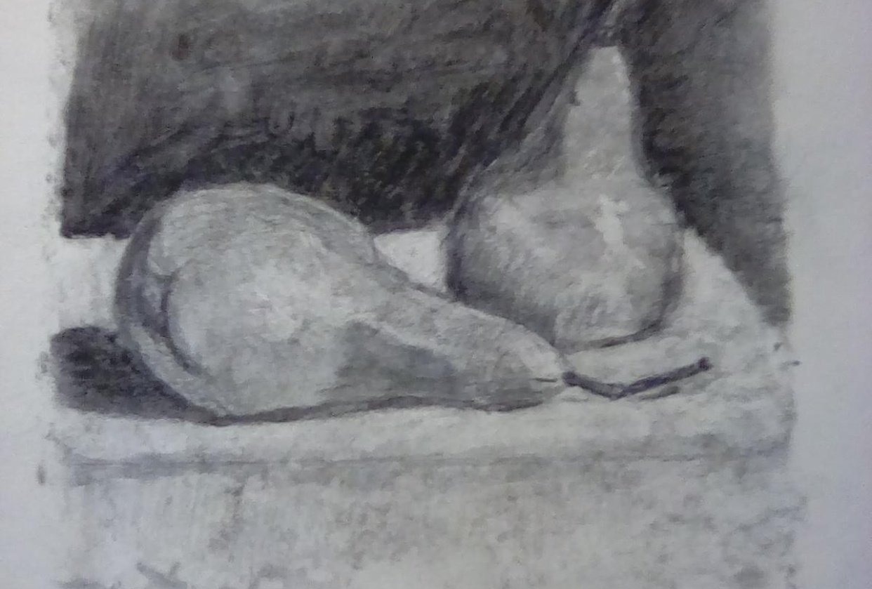 Pears and rose - student project