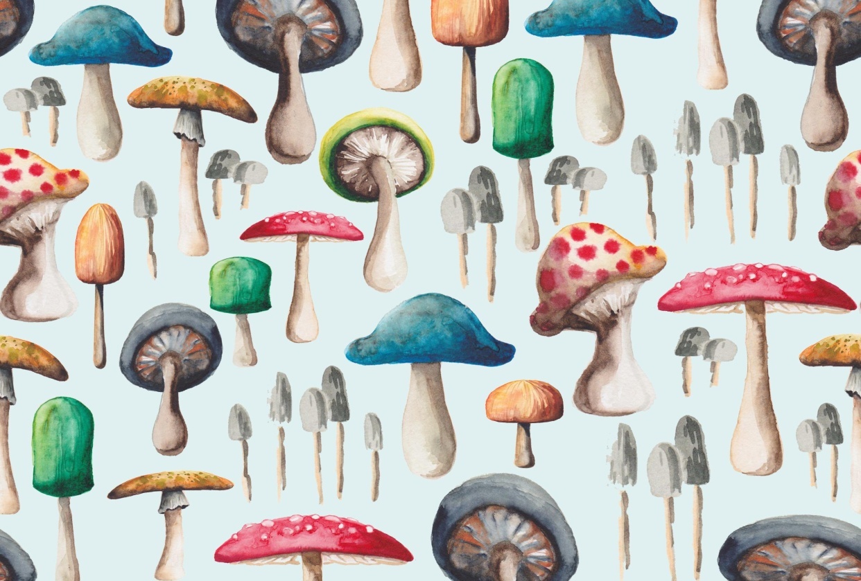love mushrooms - student project