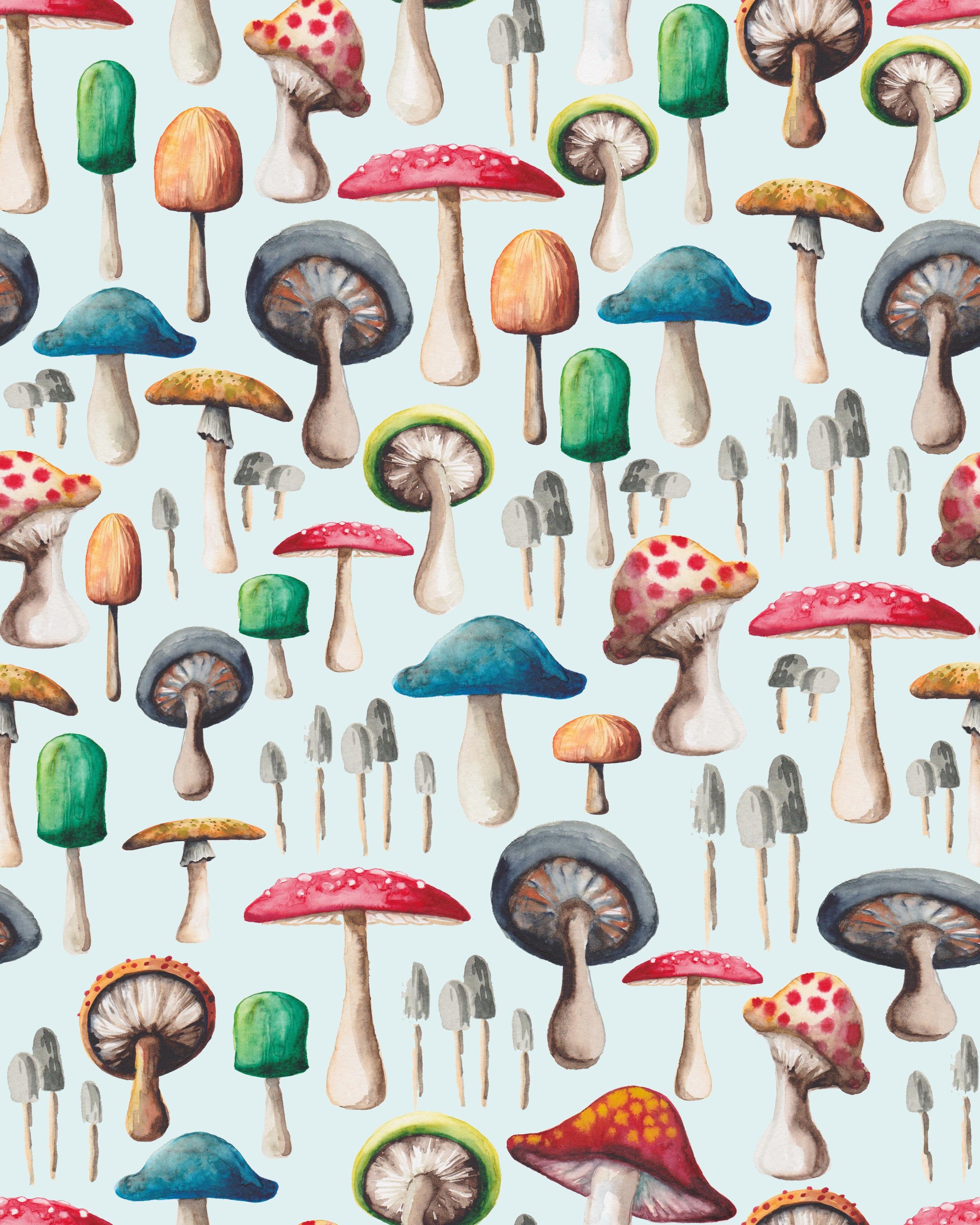 love mushrooms - student project