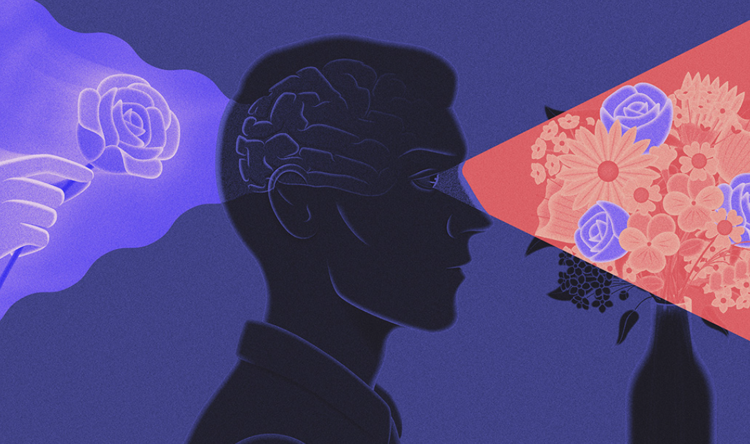 A Deep Dive into How Your Memory Really Works - student project